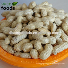 West african foods of the peanut inshell